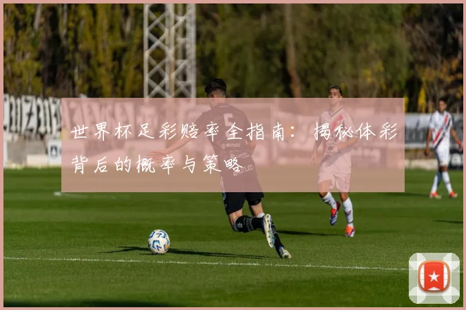 世界杯足彩赔率全指南：揭秘体彩背后的概率与策略