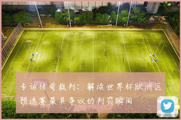 专访传奇裁判:解读世界杯欧洲区预选赛最具争议的判罚瞬间