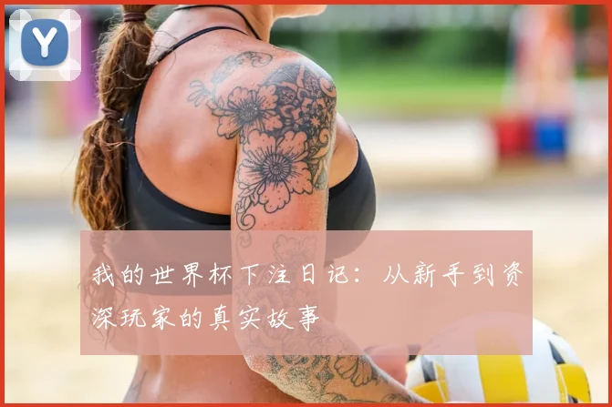 我的世界杯下注日记：从新手到资深玩家的真实故事