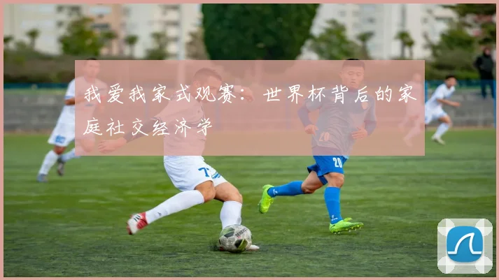 我爱我家式观赛：世界杯背后的家庭社交经济学