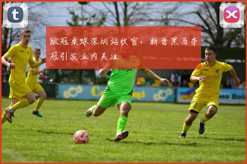 欧冠桌球深圳站收官，新晋黑马夺冠引发业内关注