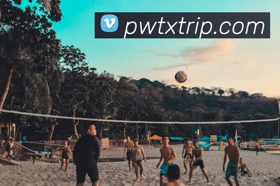 米兰体育在线登陆入口平台生态图