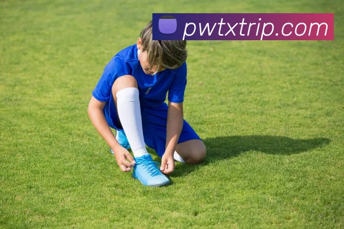 米兰体育在线登陆入口全站App